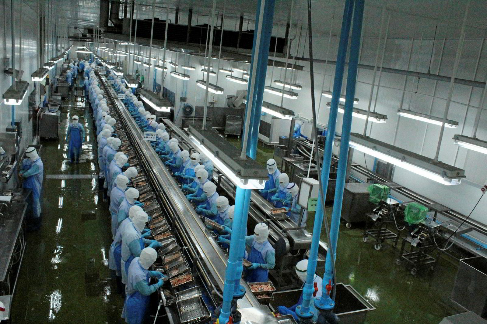 Inside Thai Union's shrimp processing plant | Intrafish