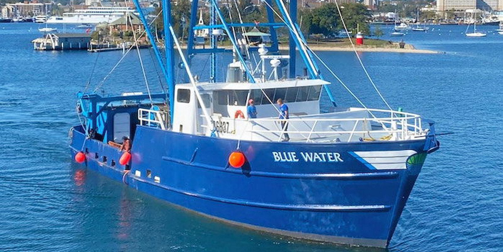 Scallop and groundfish group Blue Harvest Fisheries launches