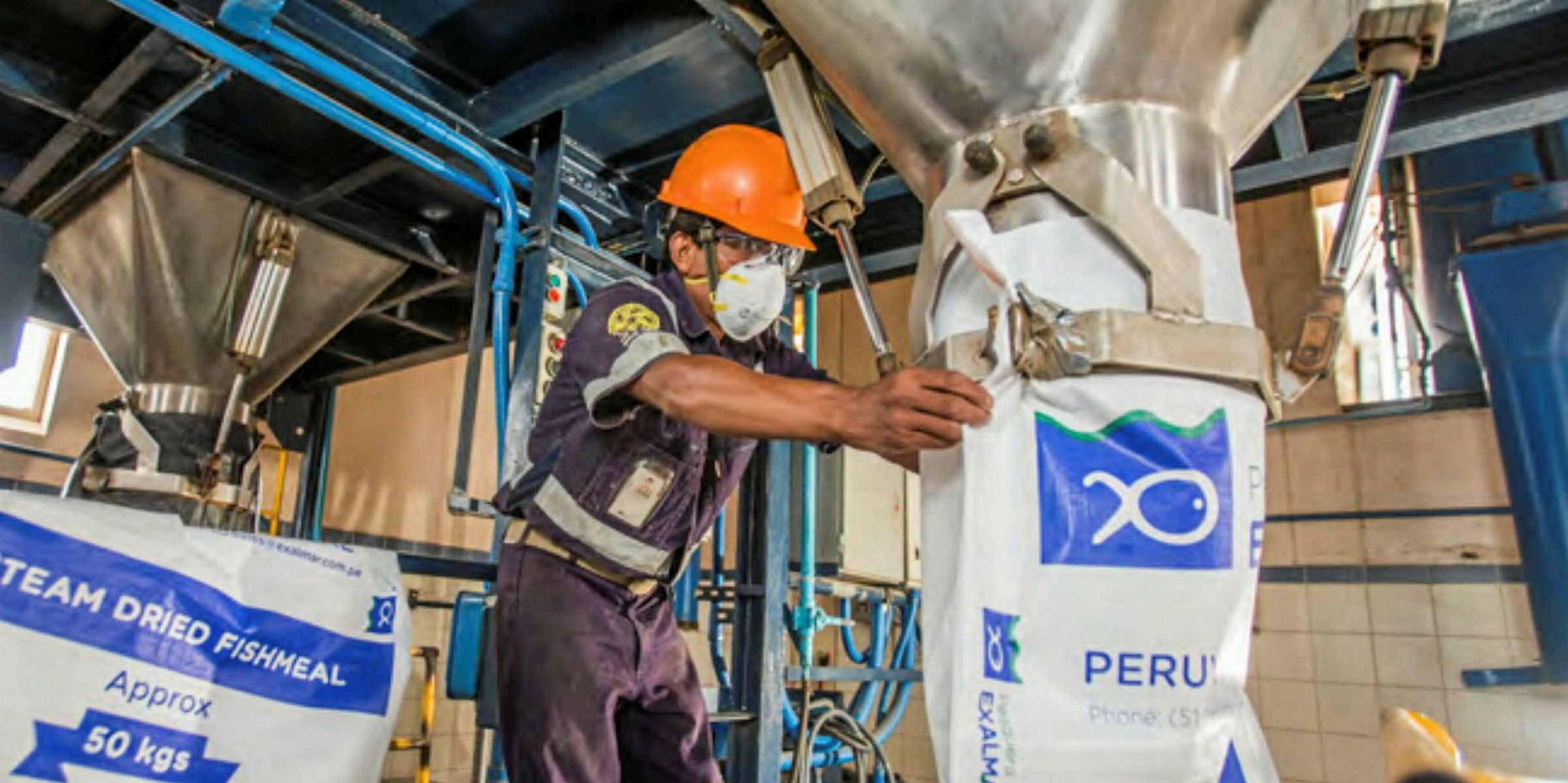 Peruvian fishmeal supplier Exalmar posts 36% earnings decline
