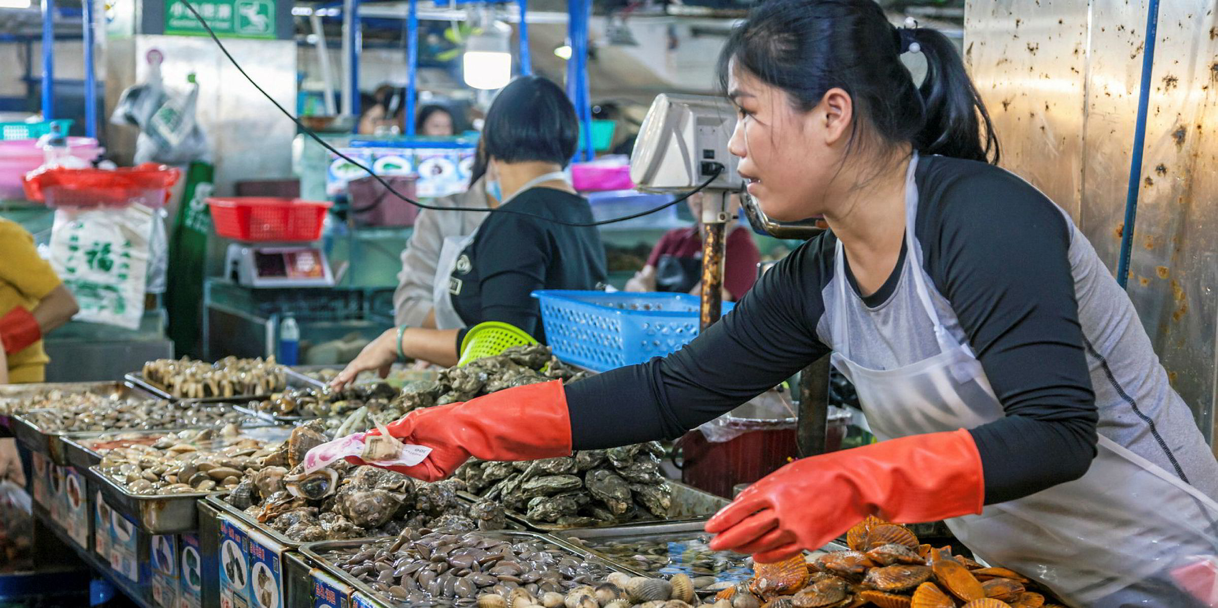 Coronavirus Indian Ecuadorian Shrimp Industries Hold Breath Over