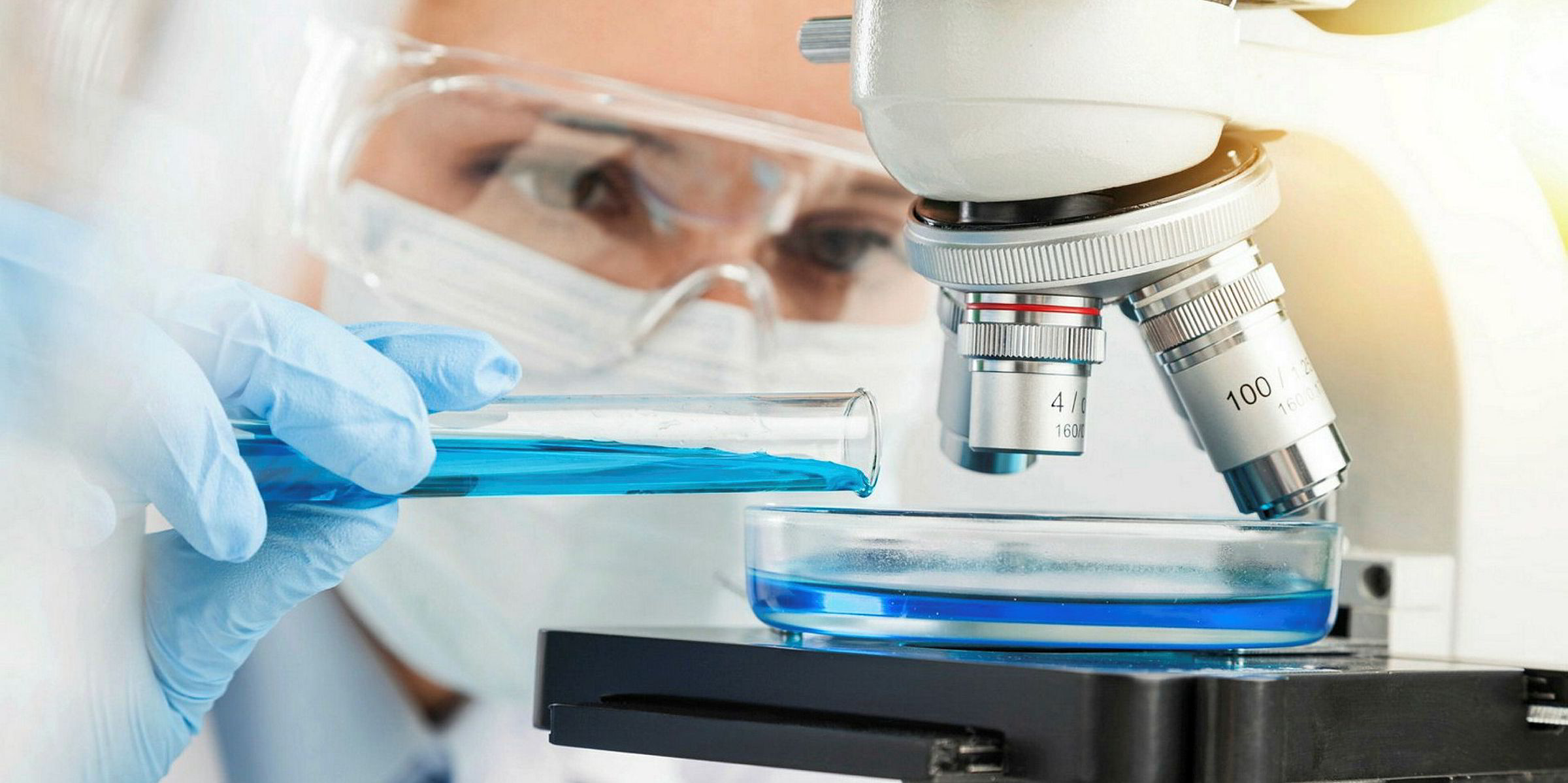 Singapore invests in labgrown fish Intrafish