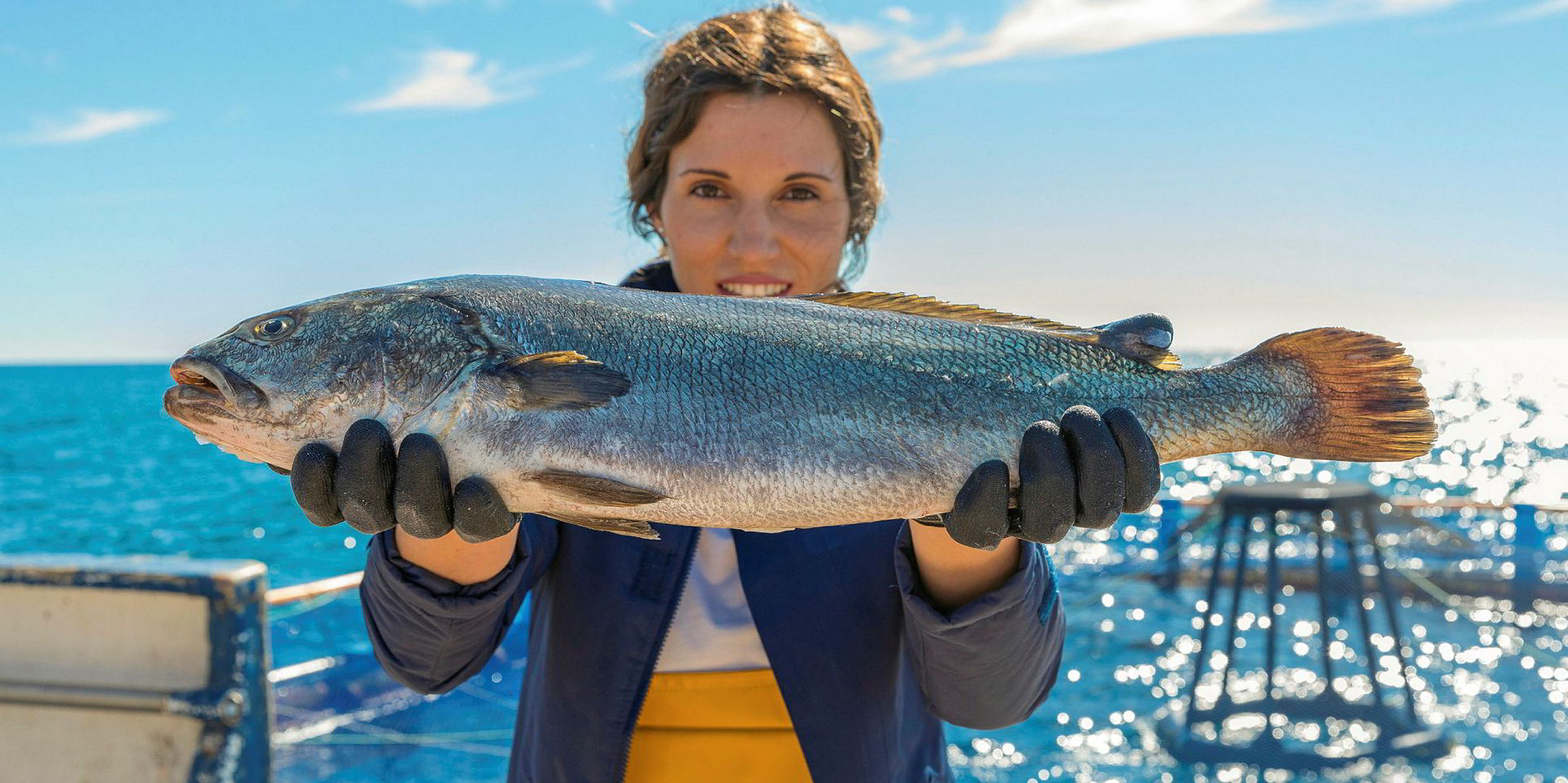 Andromeda's meagre gets ASC nod | IntraFish.com