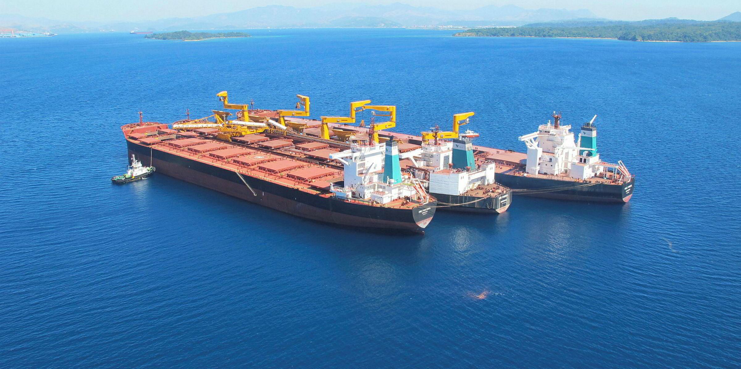 ‘Guaibamax’ plan adds up for Vale but what of the dry bulk market ...