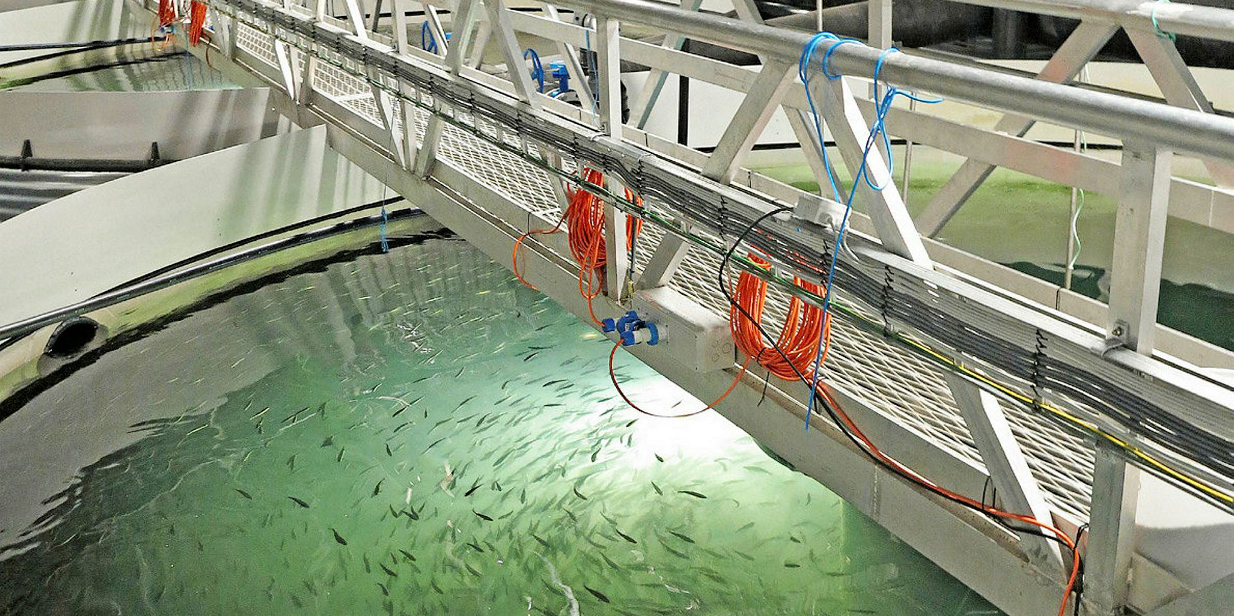 Niva forsker Hydrogensulfid I RAS anlegg Kan Forhindres IntraFish no