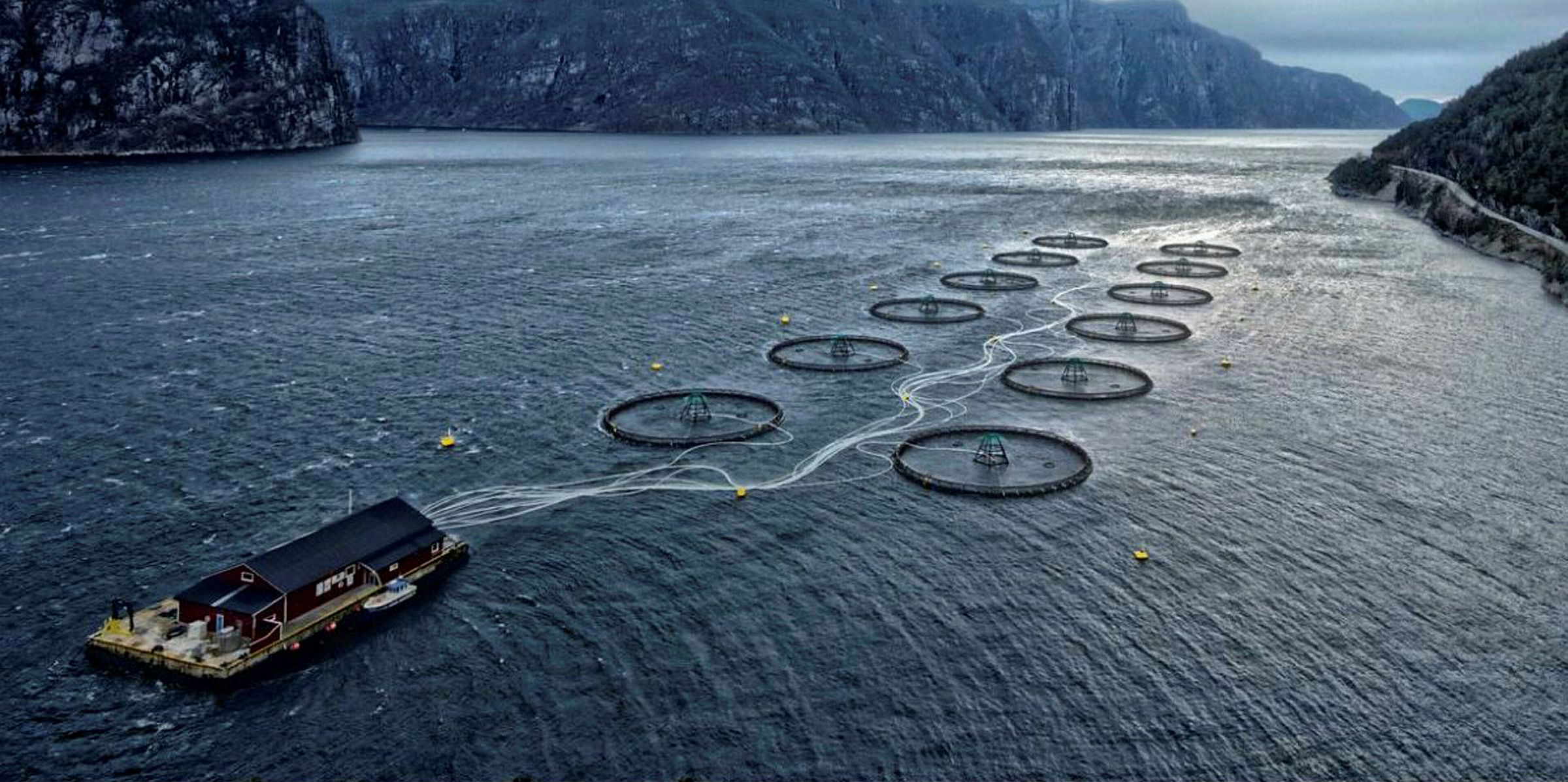 Mowi's troubled semi-closed salmon farming cage looks for new home ...
