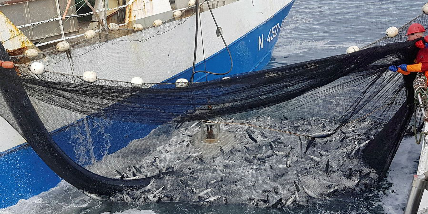 ICES more than doubles Norwegian mackerel quota