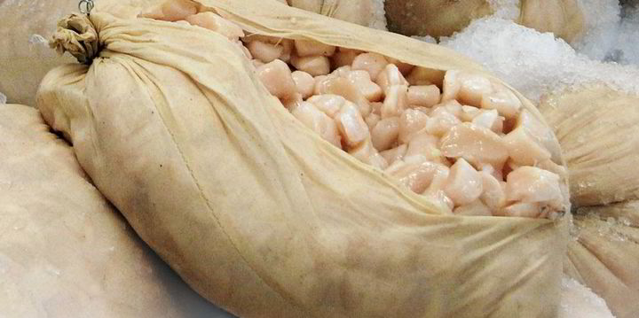 Atlantic scallop harvest projected to decline by 23% next year - Vimarsana News