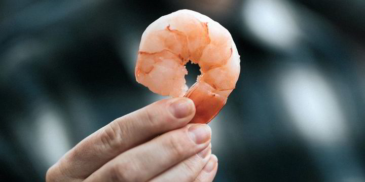 The biggest questions facing the future of the global shrimp farming industry - Vimarsana News