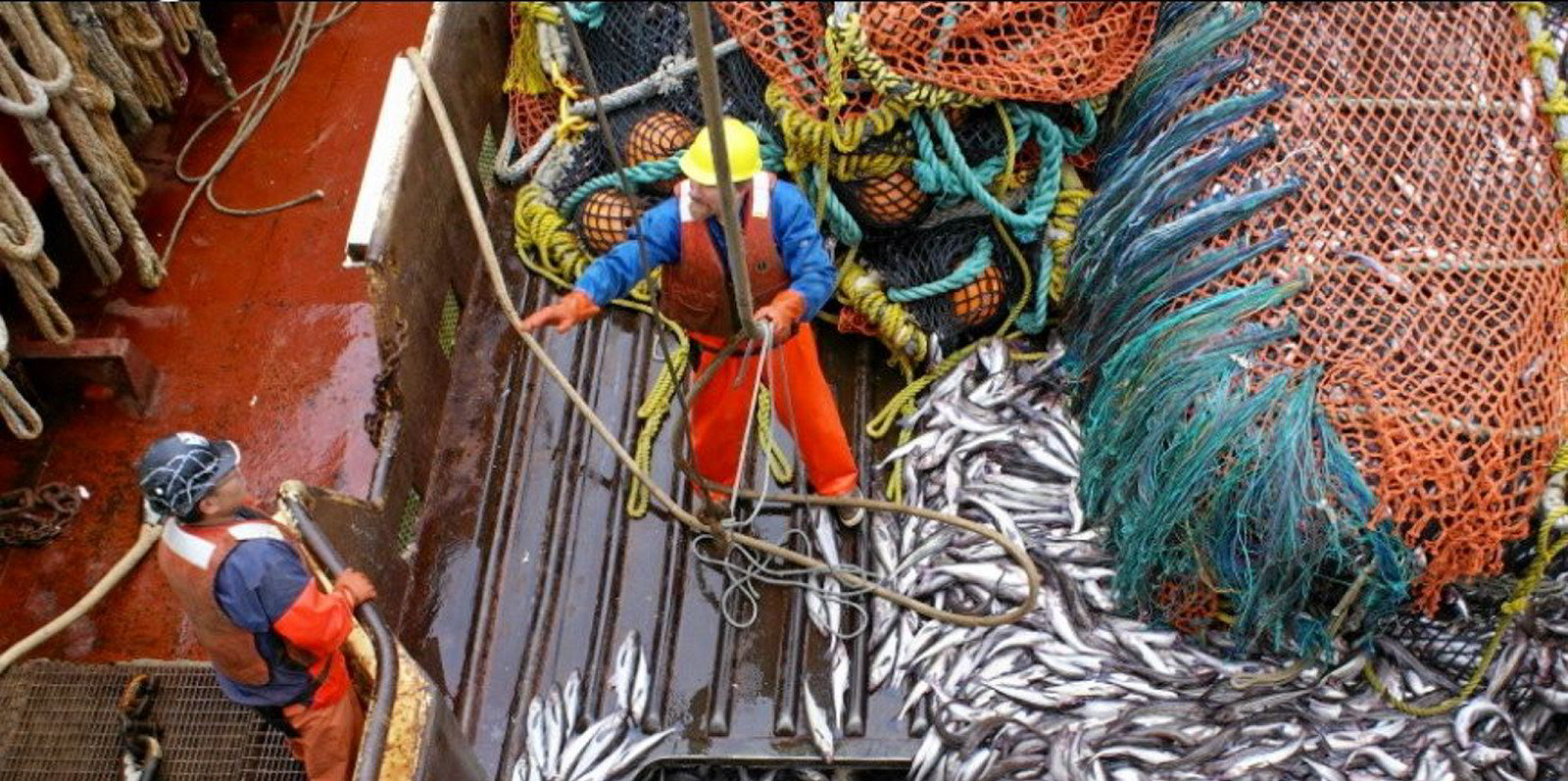 The battle over bycatch in the Alaska pollock fishery is more serious