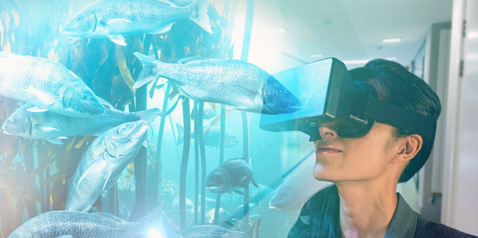 Aquaculture Innovators Meet the visionaries who are reshaping fish