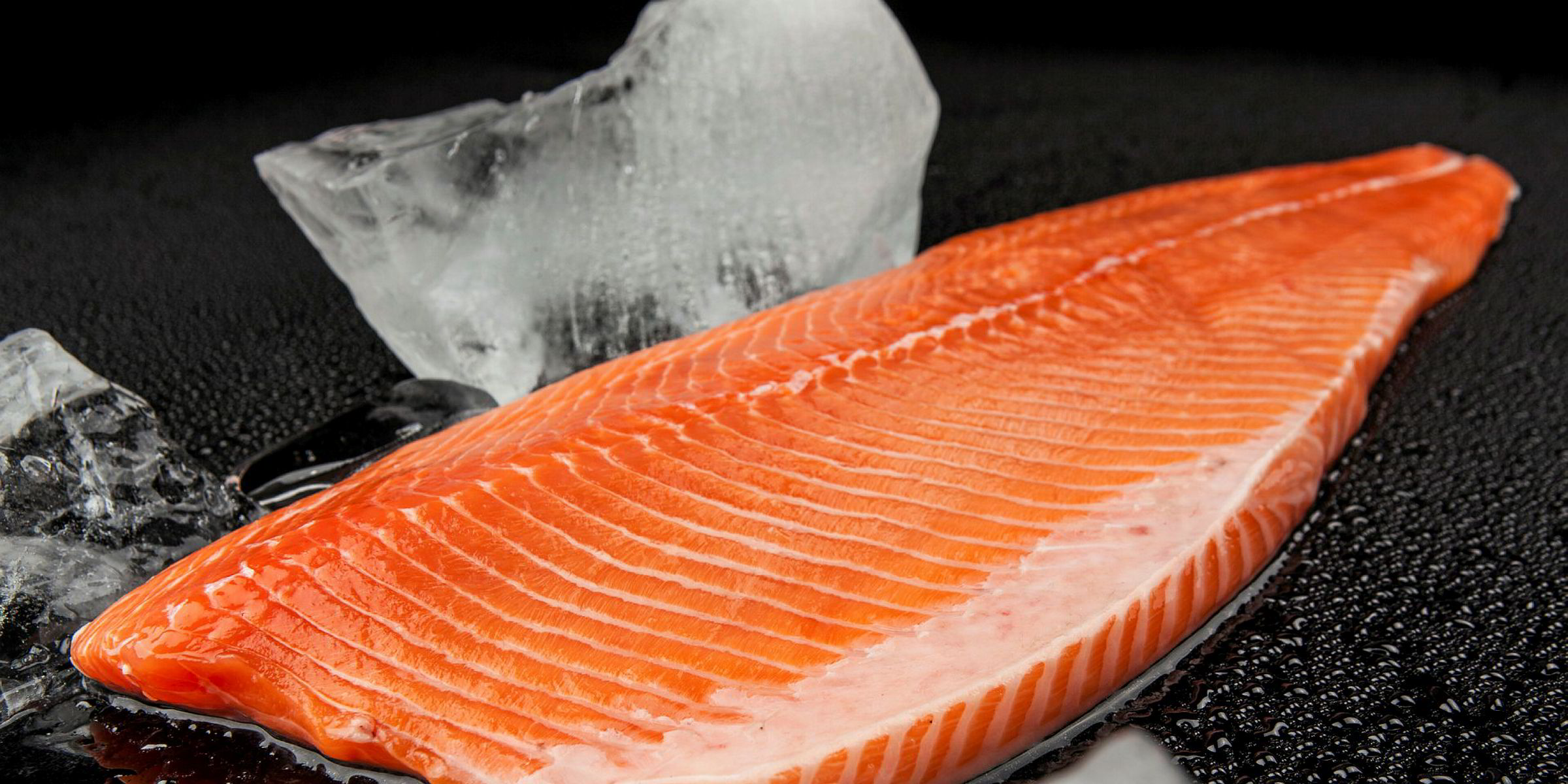 Estonian seafood firm plans another offshore rainbow trout farm