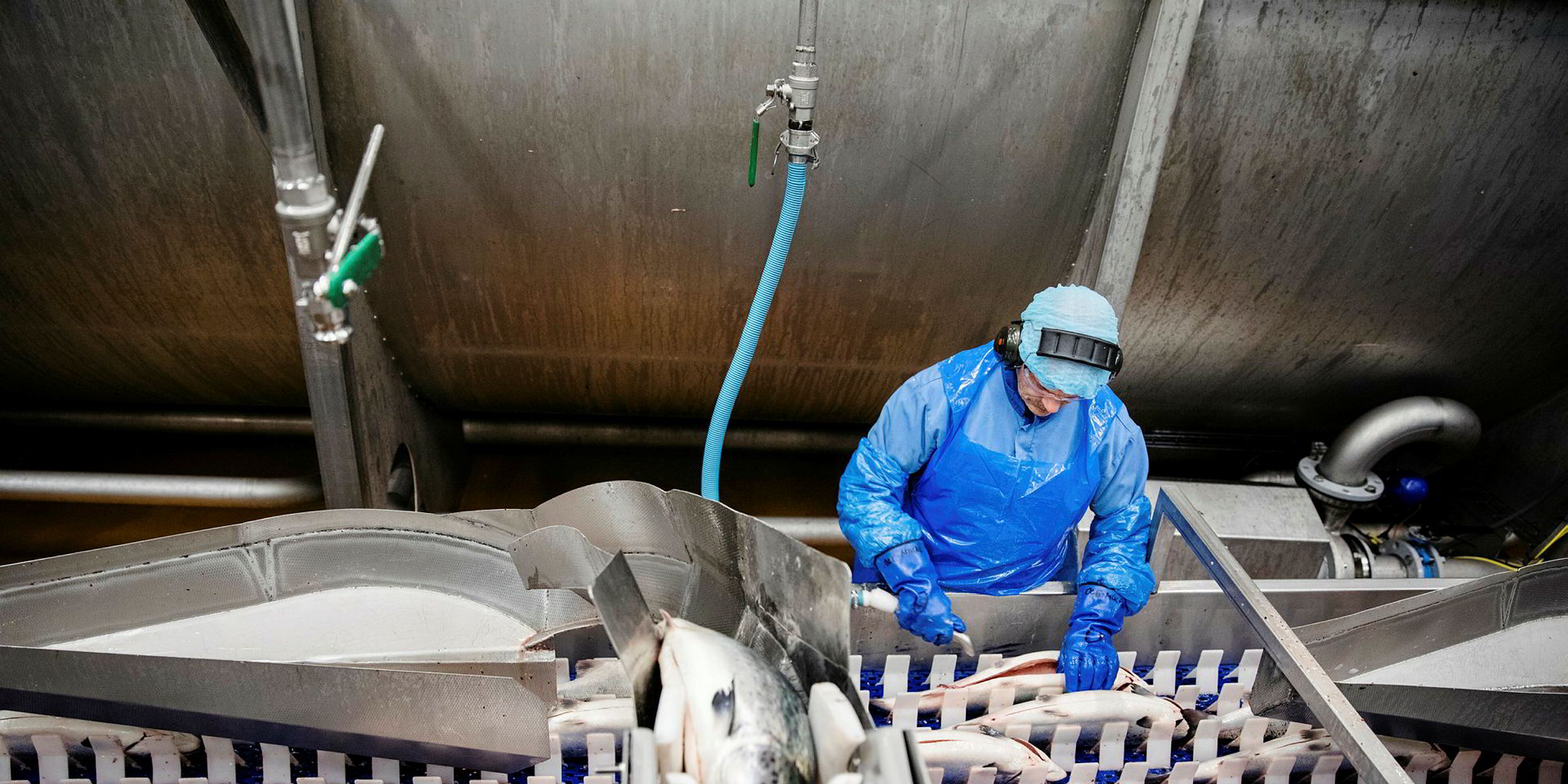 Norway seafood exports slip, but salmon and cod shine Intrafish