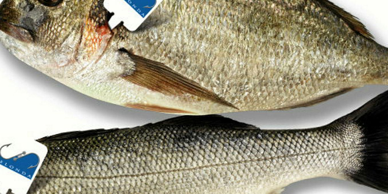 Sea Bass Vs Sea Bream Nutrition