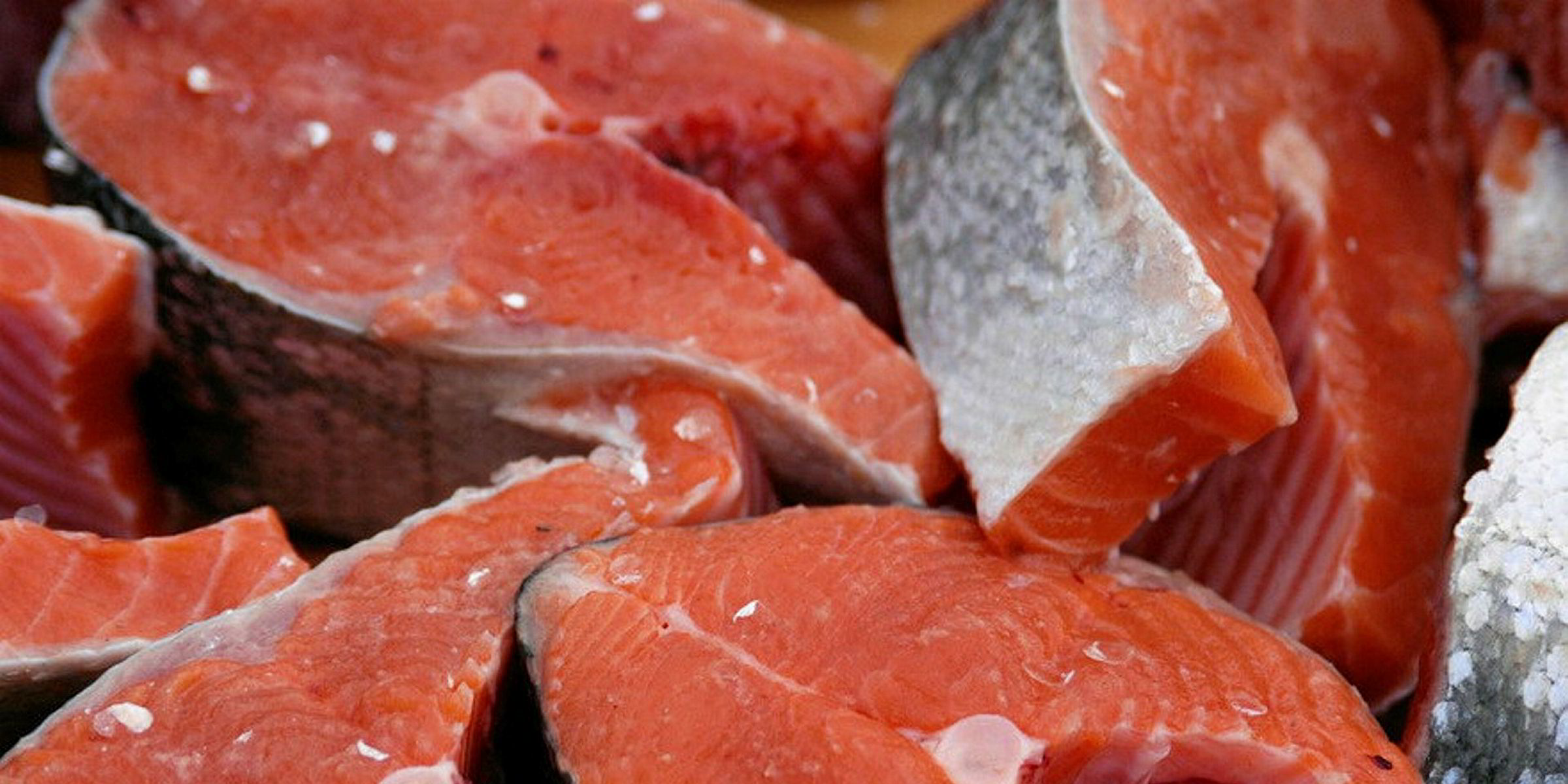 Salmon worms are squirming under the radar, for now