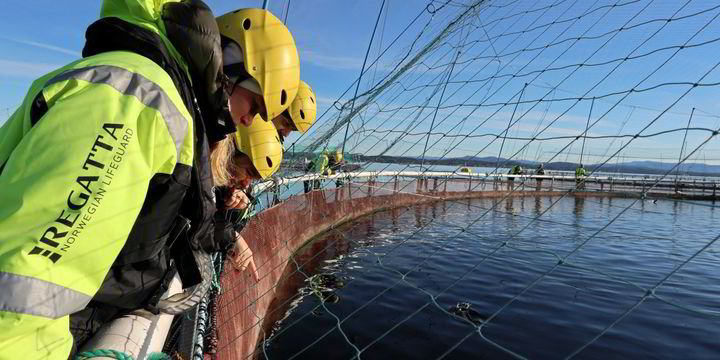 Can ecosystems provide space for further growth in aquaculture?