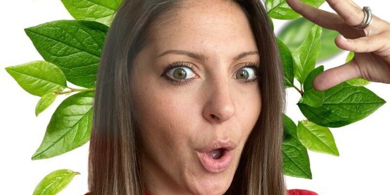 Why this CEO believes hybrid seafood is the next big wave