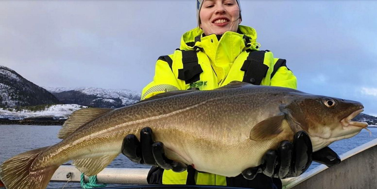 Norwegian cod farmer Norcod successfully transfers 2.4 million