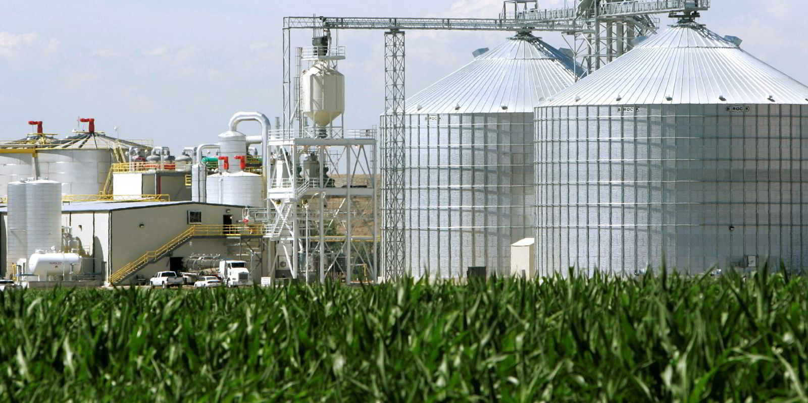 IMO opens the door for biofuel to be used in CII assessment | TradeWinds