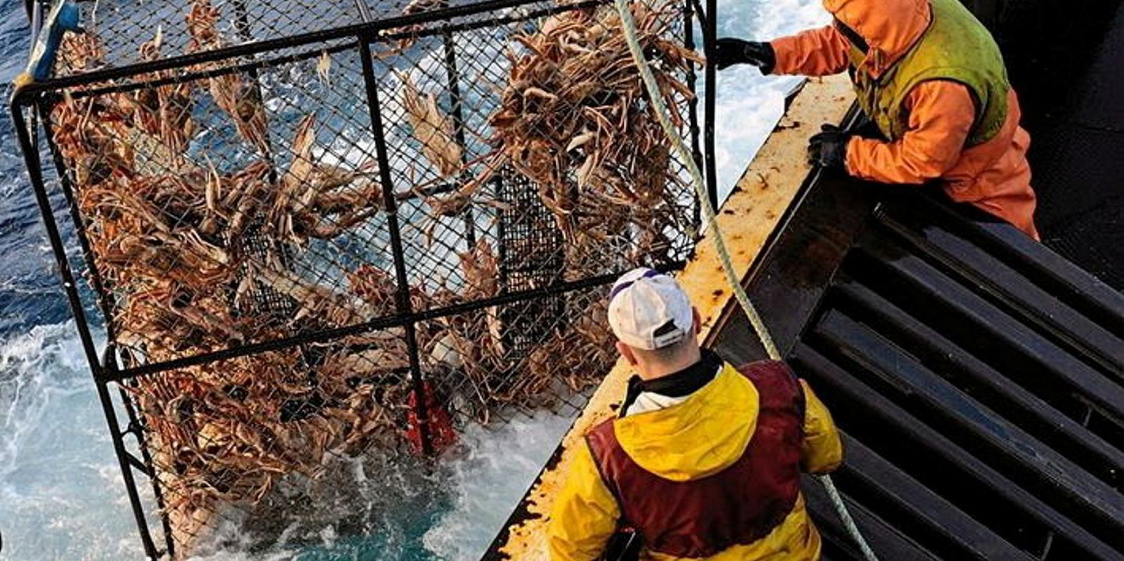 King Crab Fishing Photos, Images and Pictures