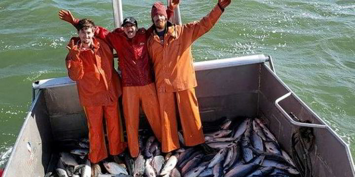 Alaska salmon LIVE UPDATES: Bristol Bay's Nushagak sets yet another single-day record; fisherman dies in boat sinking - Vimarsana News