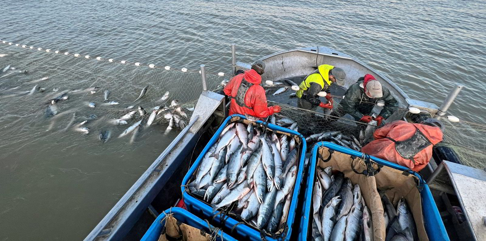 Freshwater fishing in Norway  Fresh air, clear water, and lots of happy  fish