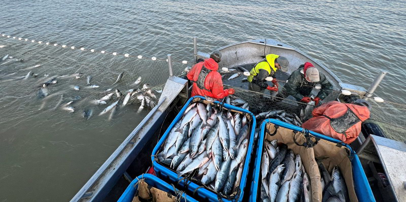Alaska's Bristol Bay smashes alltime sockeye salmon harvest record