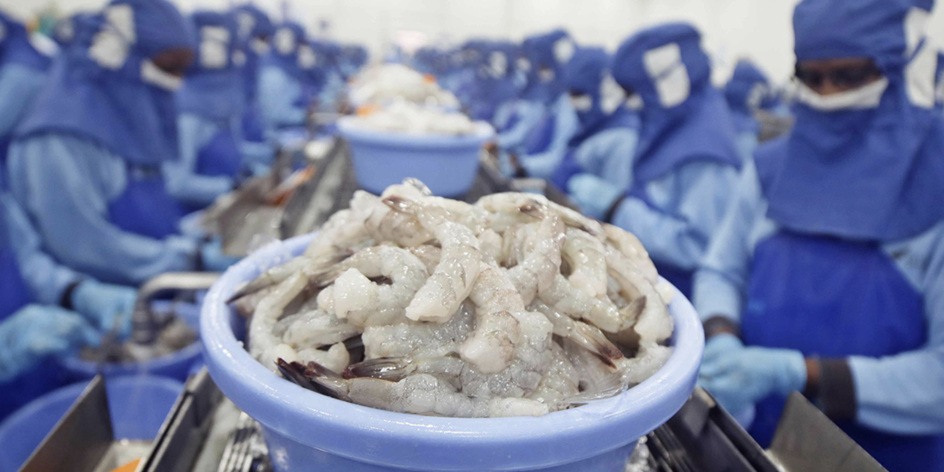Duties prompt US market downturn for Thai Union-backed shrimp producer