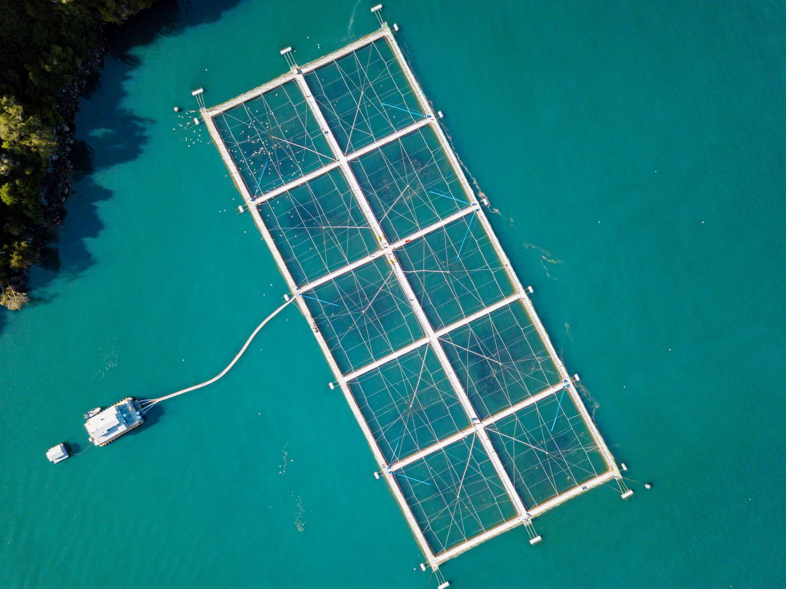 44-divers-have-died-working-on-chilean-salmon-farms-in-the-past-20