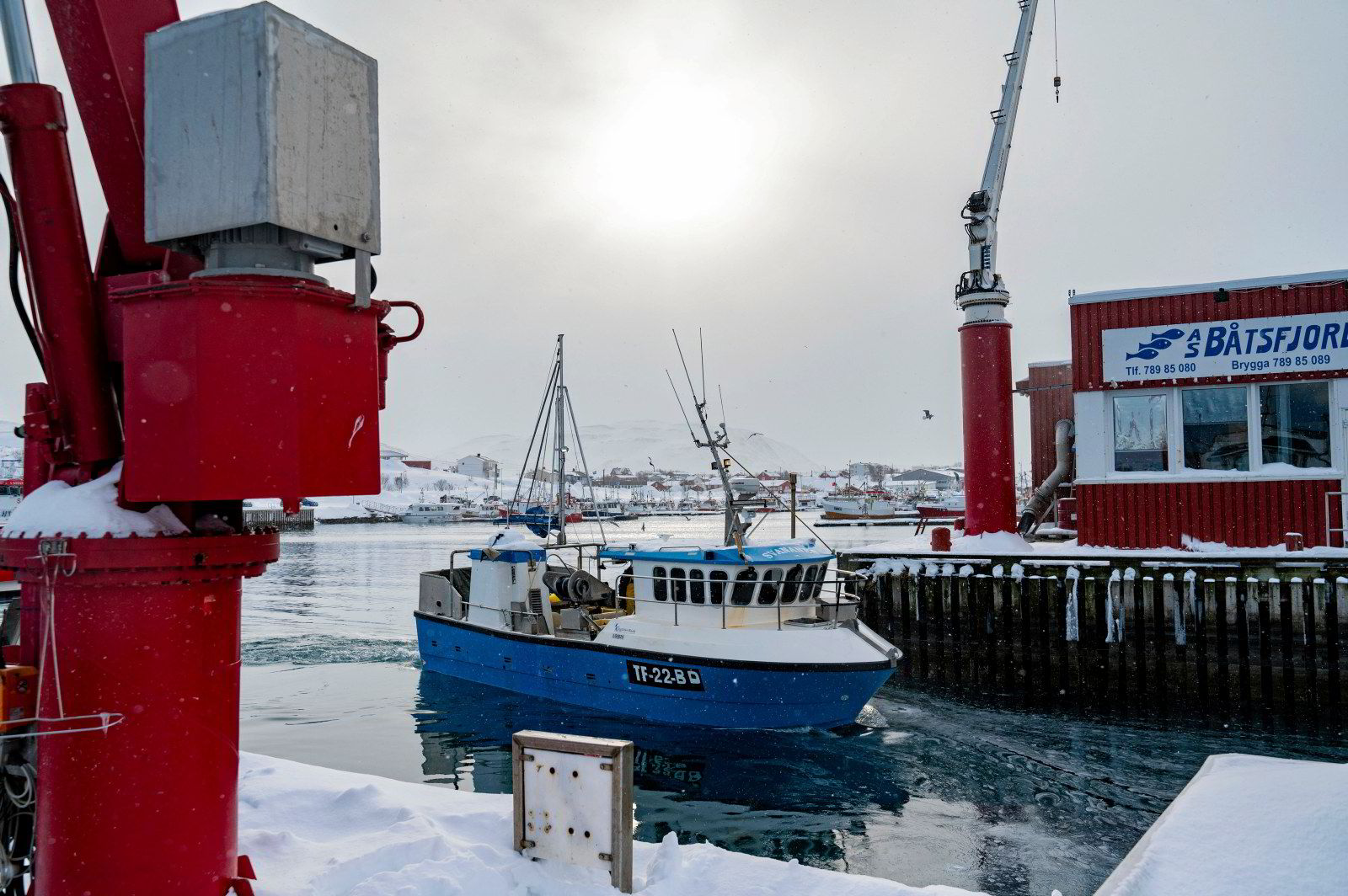 Victoria mønstret på fiskebåt for første gang i fjor og overbeviste ...