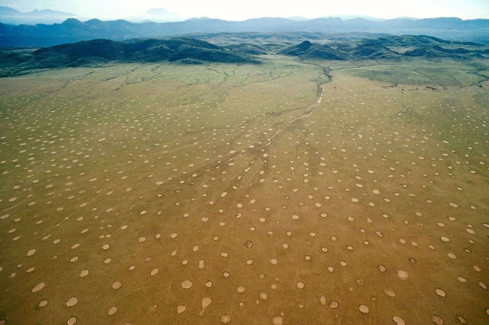 Is natural hydrogen of the fairy circles” the new eldorado?