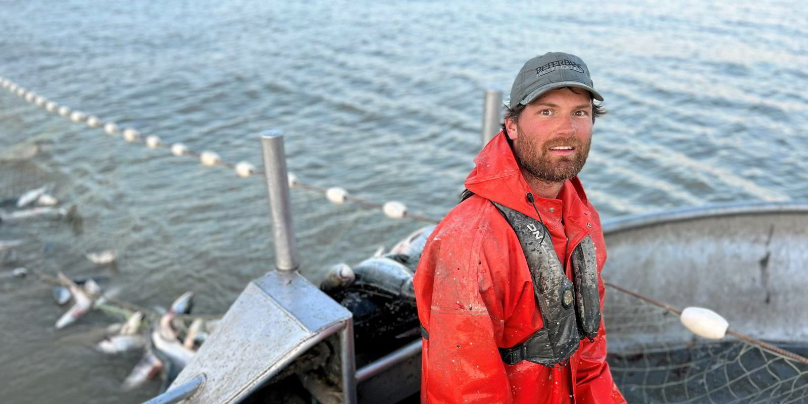 University of Washington forecasts smaller Bristol Bay sockeye salmon