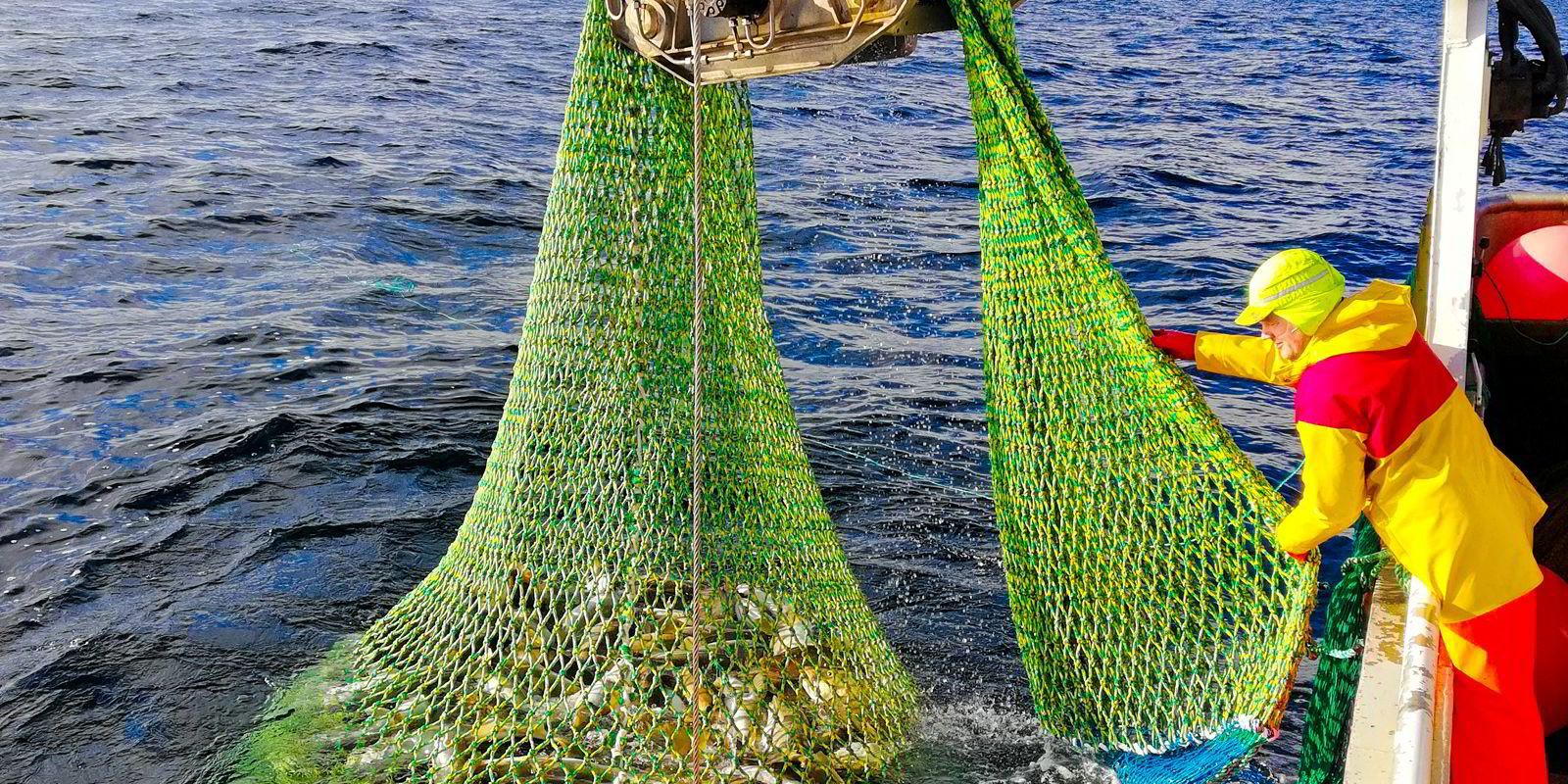 Fiskeskipper politianmeldt for underrapportering av 9,8 tonn torsk