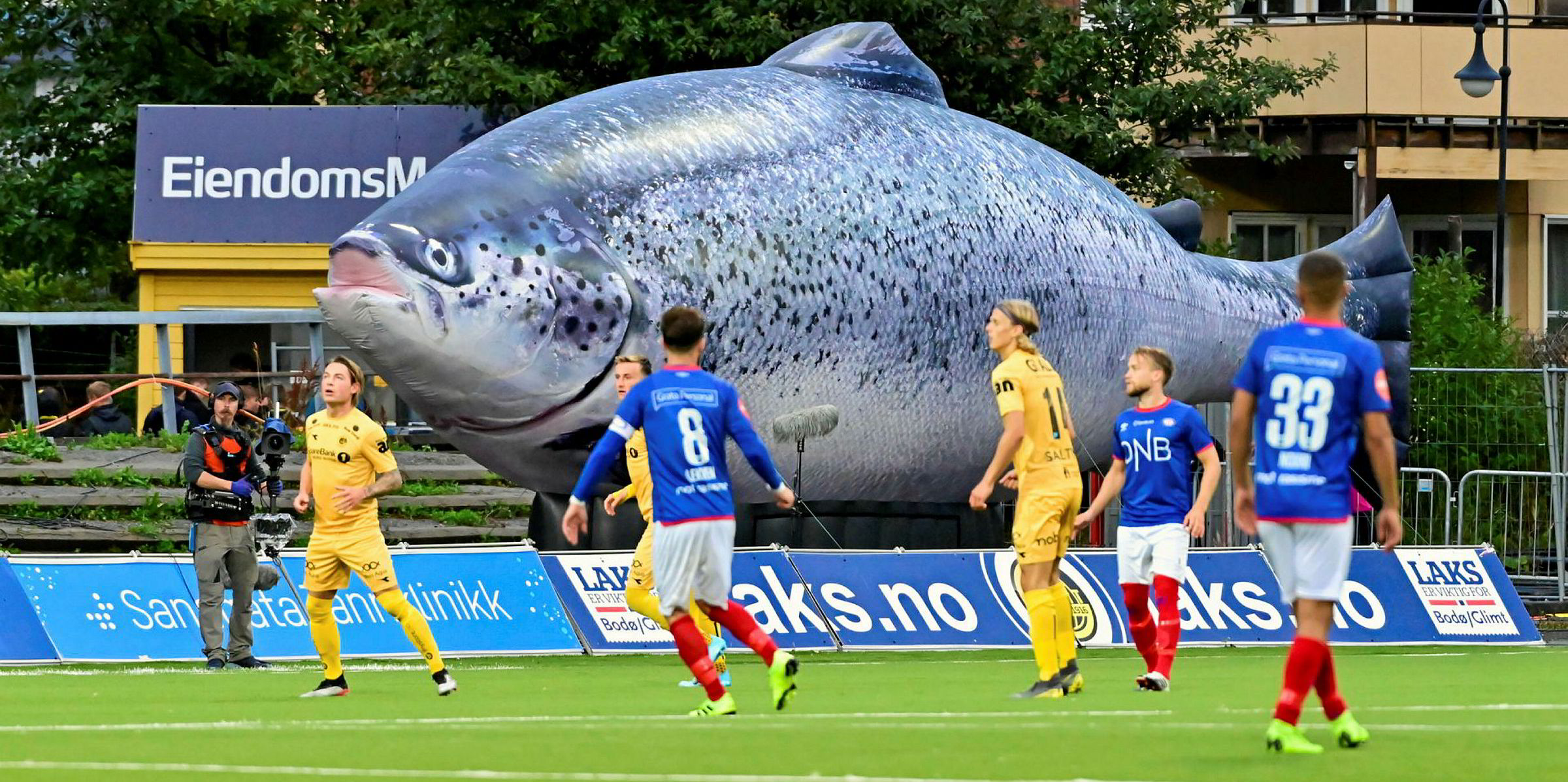 Bodo Glimt Fosset Fram Til Seriegull Med Laksemillioner I Ryggen Intrafish No