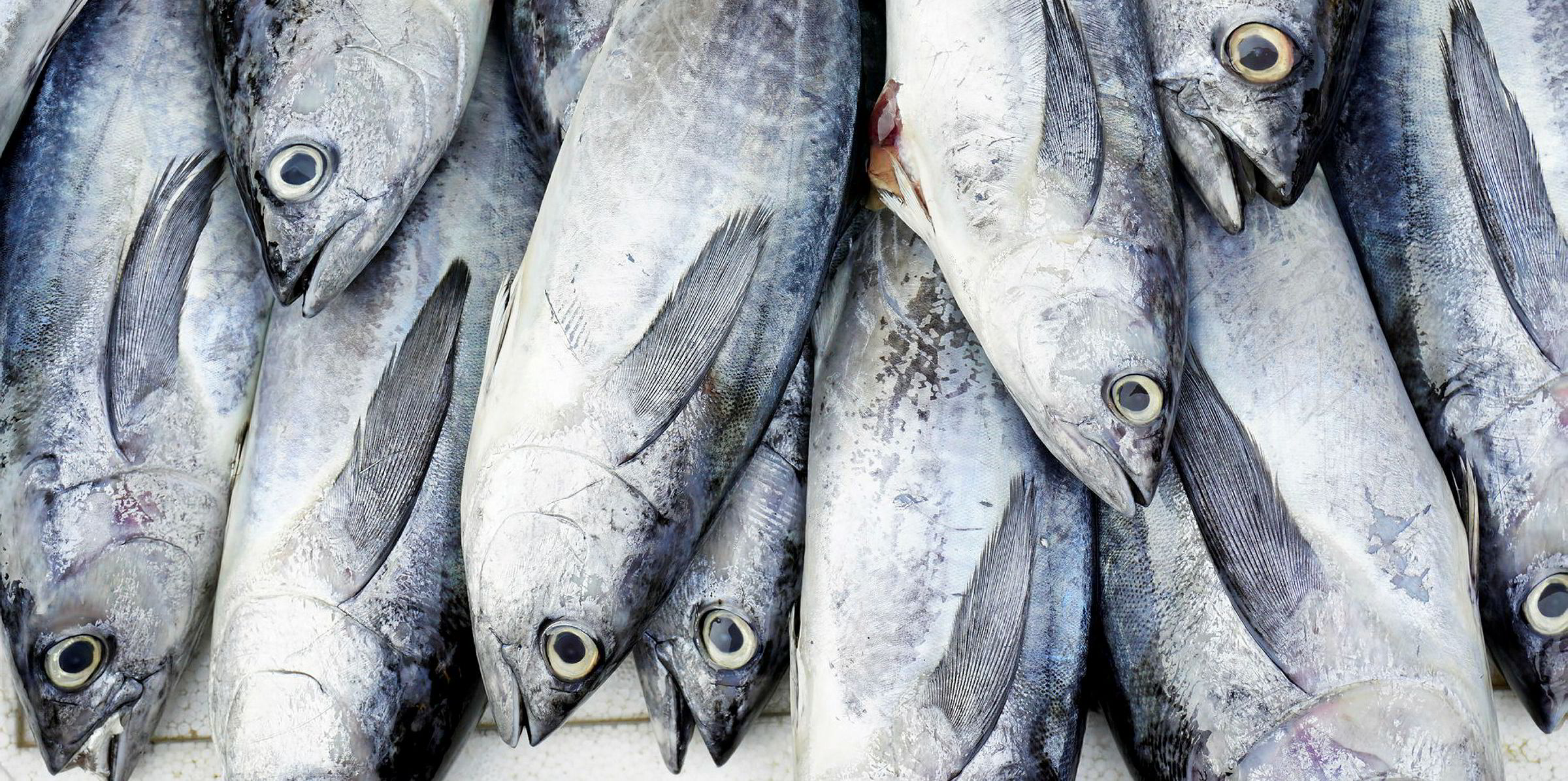 Thai Union's tuna business facing rockbottom prices, declining demand