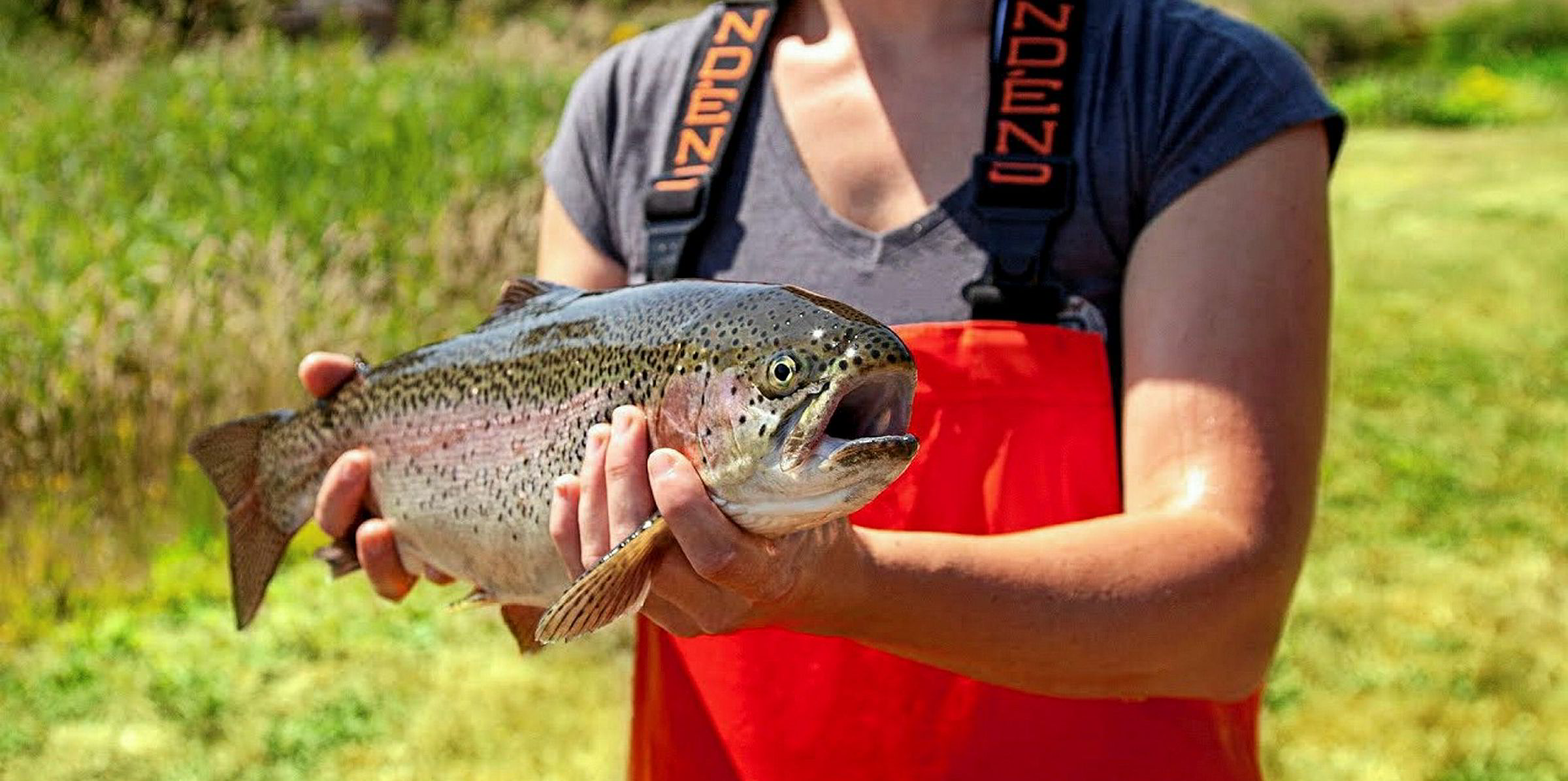Riverence acquires Clear Springs, creating America's largest trout