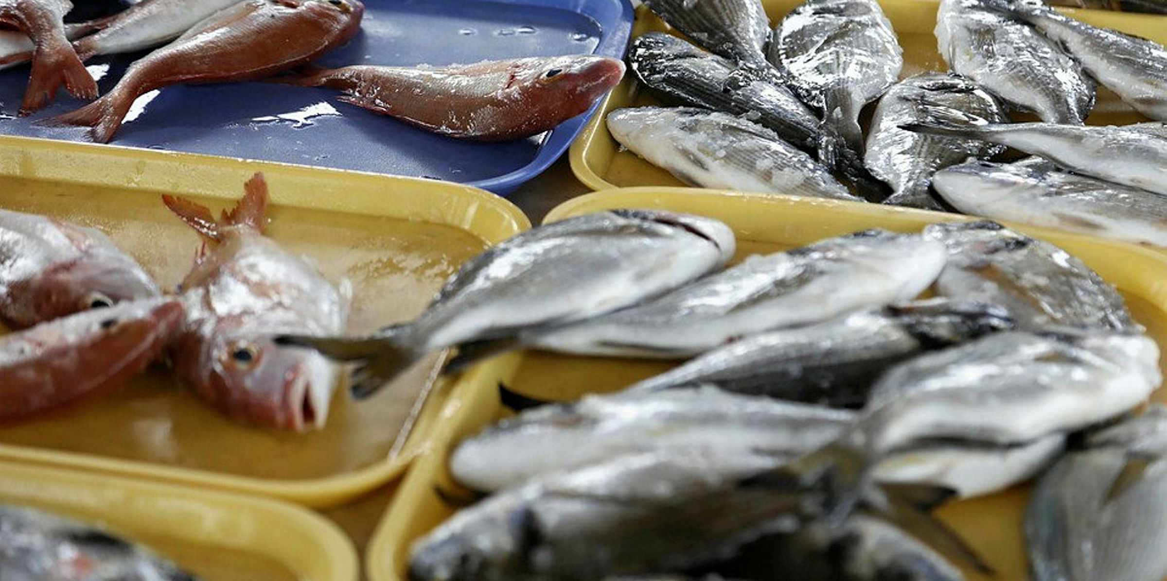 Рыба на прилавке. Охлажденная рыба. Замороженная рыба. Замороженная рыба ассортимент. Прилавок с рыбой на рынке.