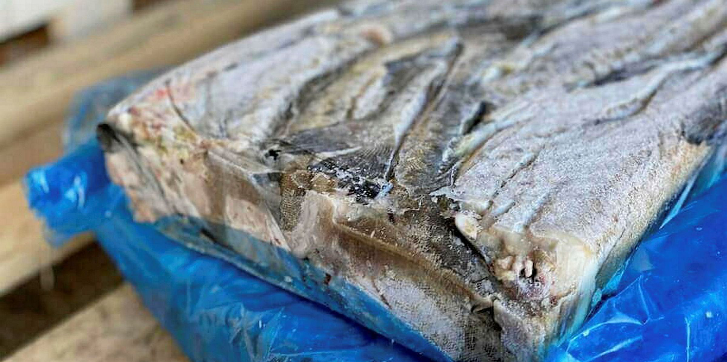 Russian Fishery Company-led group secures Marine Stewardship Council ...