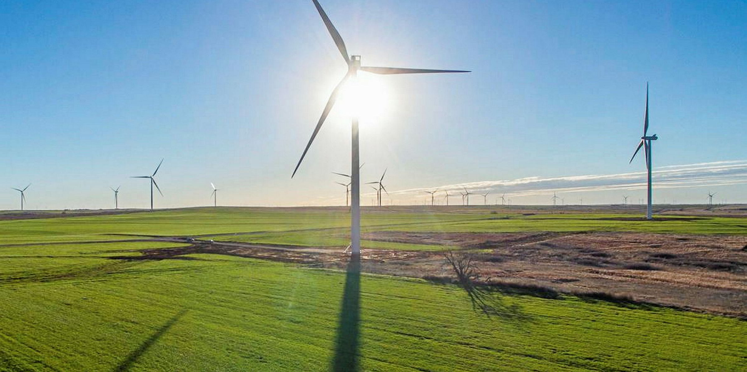 US wind boom set to extend into 2021: Tradewind CEO | Recharge