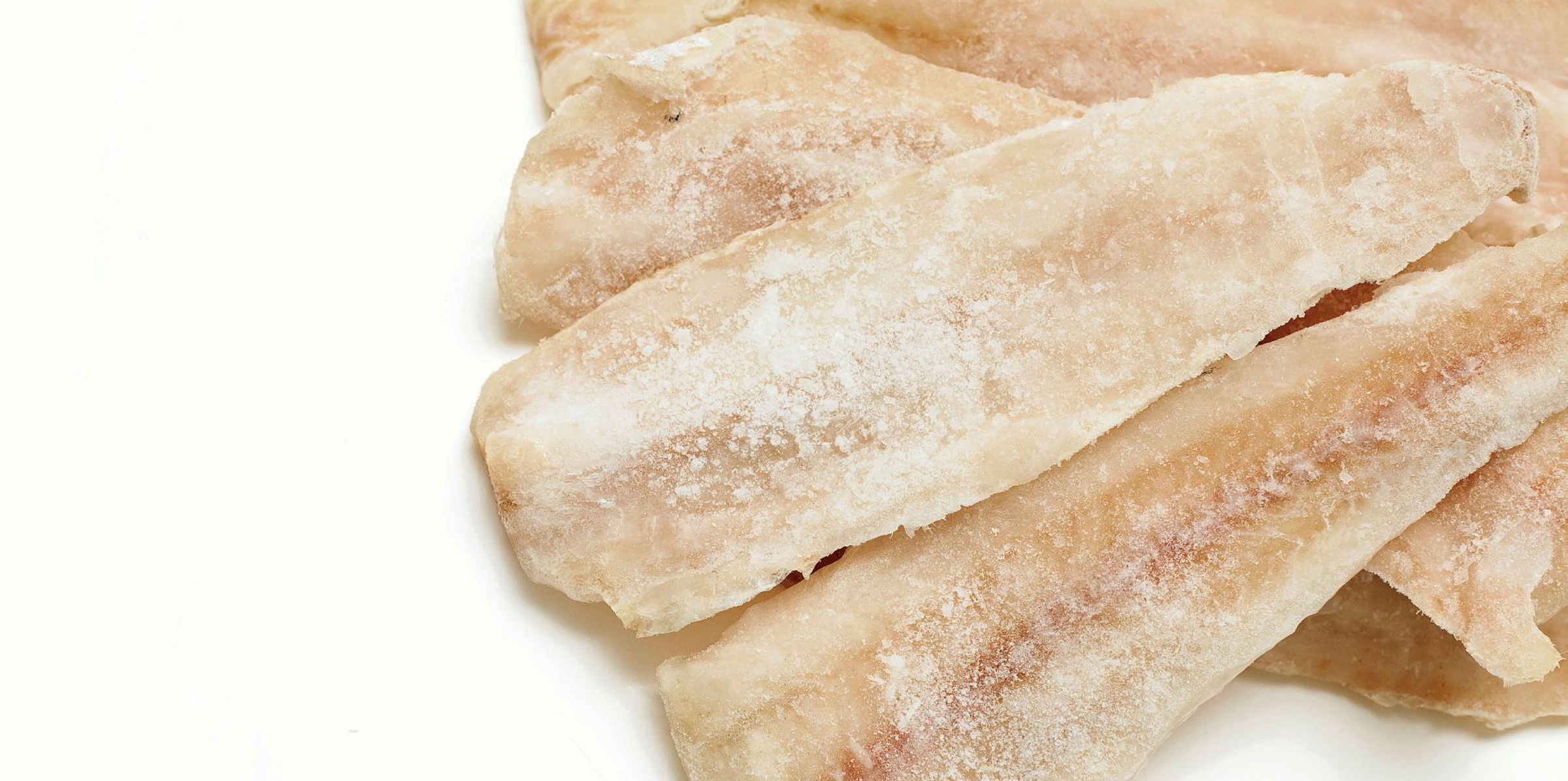 Pollock Prices Jump 24 In Russia Intrafish
