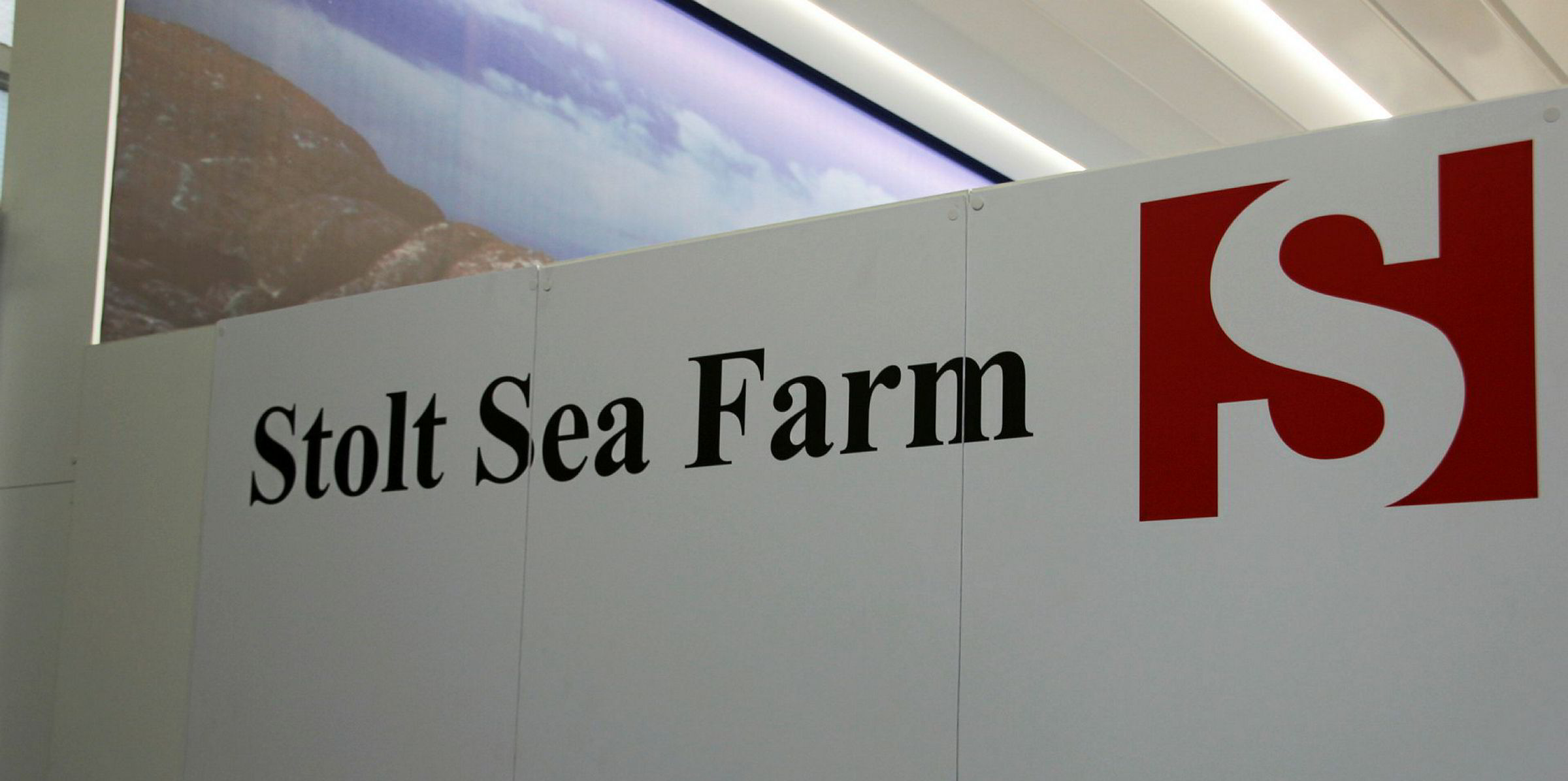 Land-based sole expansion costs drive Stolt Sea Farm into the red ...
