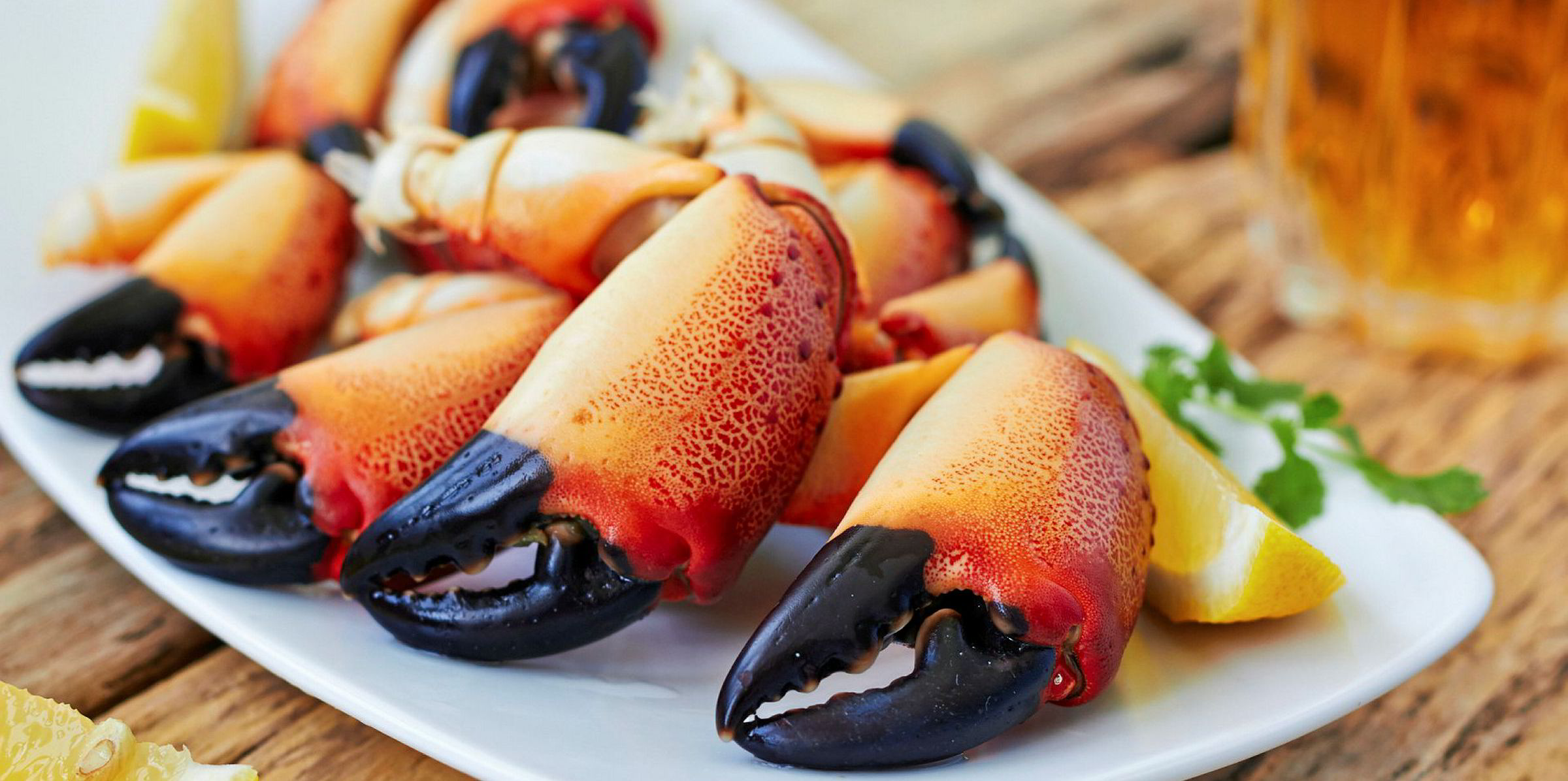 Florida stone crab slips to Seafood Watch 'Avoid' list ...