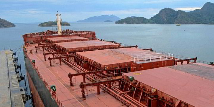 Trafigura, IFM form bulker terminals JV | TradeWinds