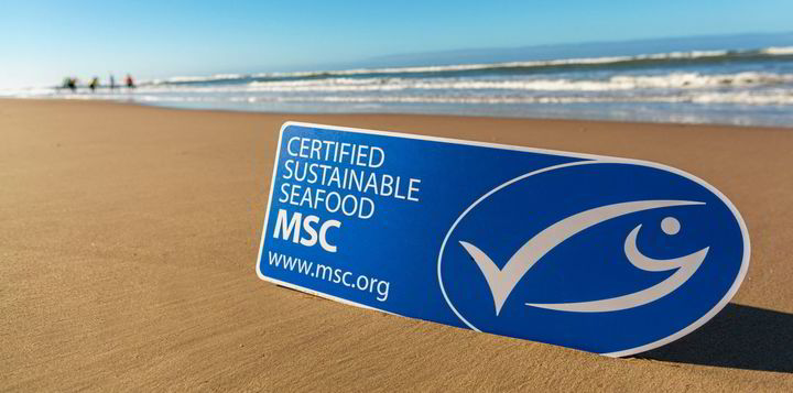Marine Stewardship Council Appoints New Americas Director
