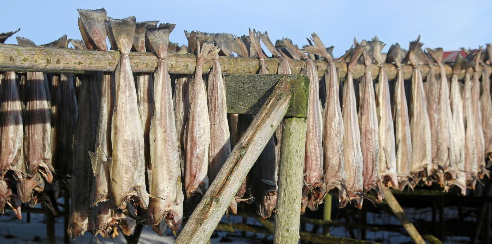 Konkurs med tørrfisksnacks i Balsfjord | Fiskeribladet