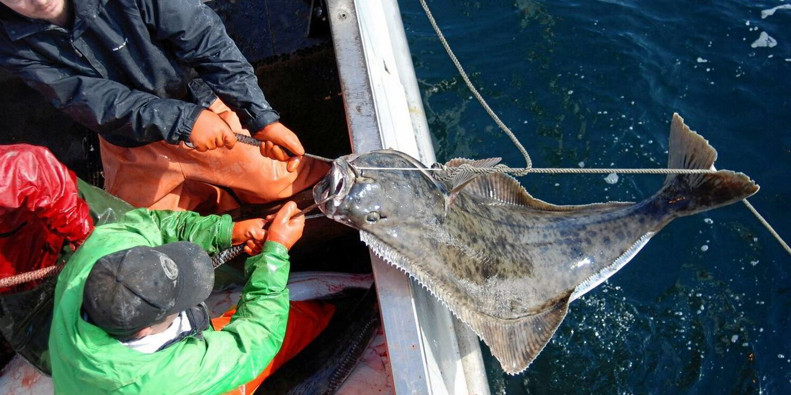 US government says Alaska fishing fleet has no claim in bycatch