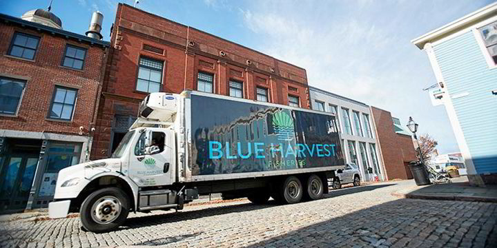 Company objects to Blue Harvest bankruptcy firm billing $700 an hour while creditors go unpaid