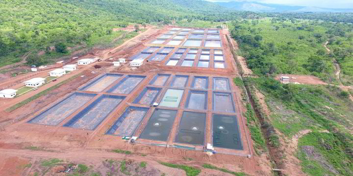 Genetics firm GenoMar opens tilapia breeding and genetics center in ...