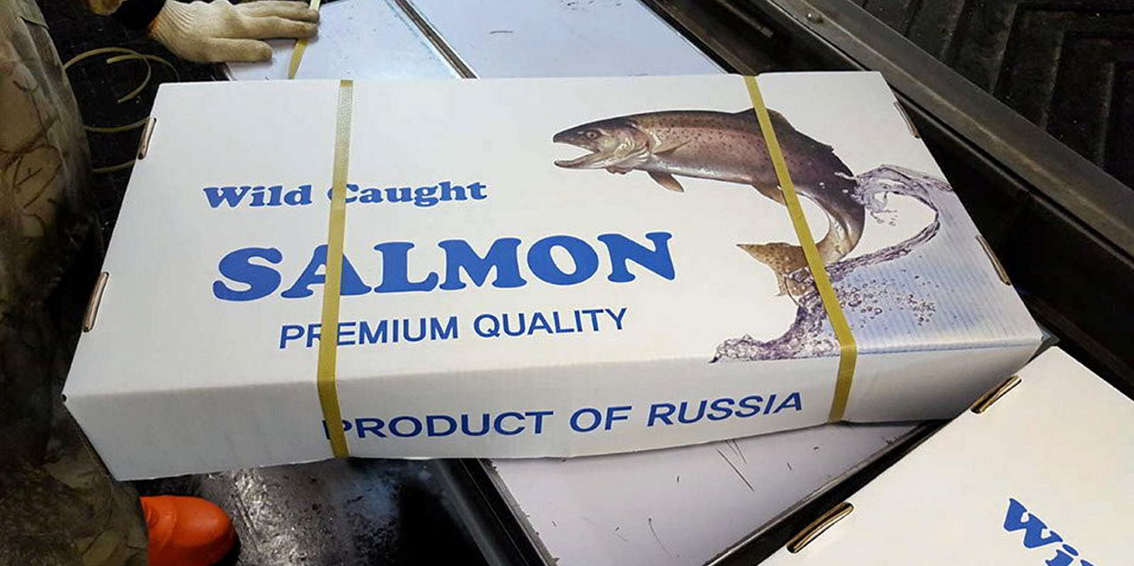 Russia’s wild salmon season comes to close with second-largest harvest ...