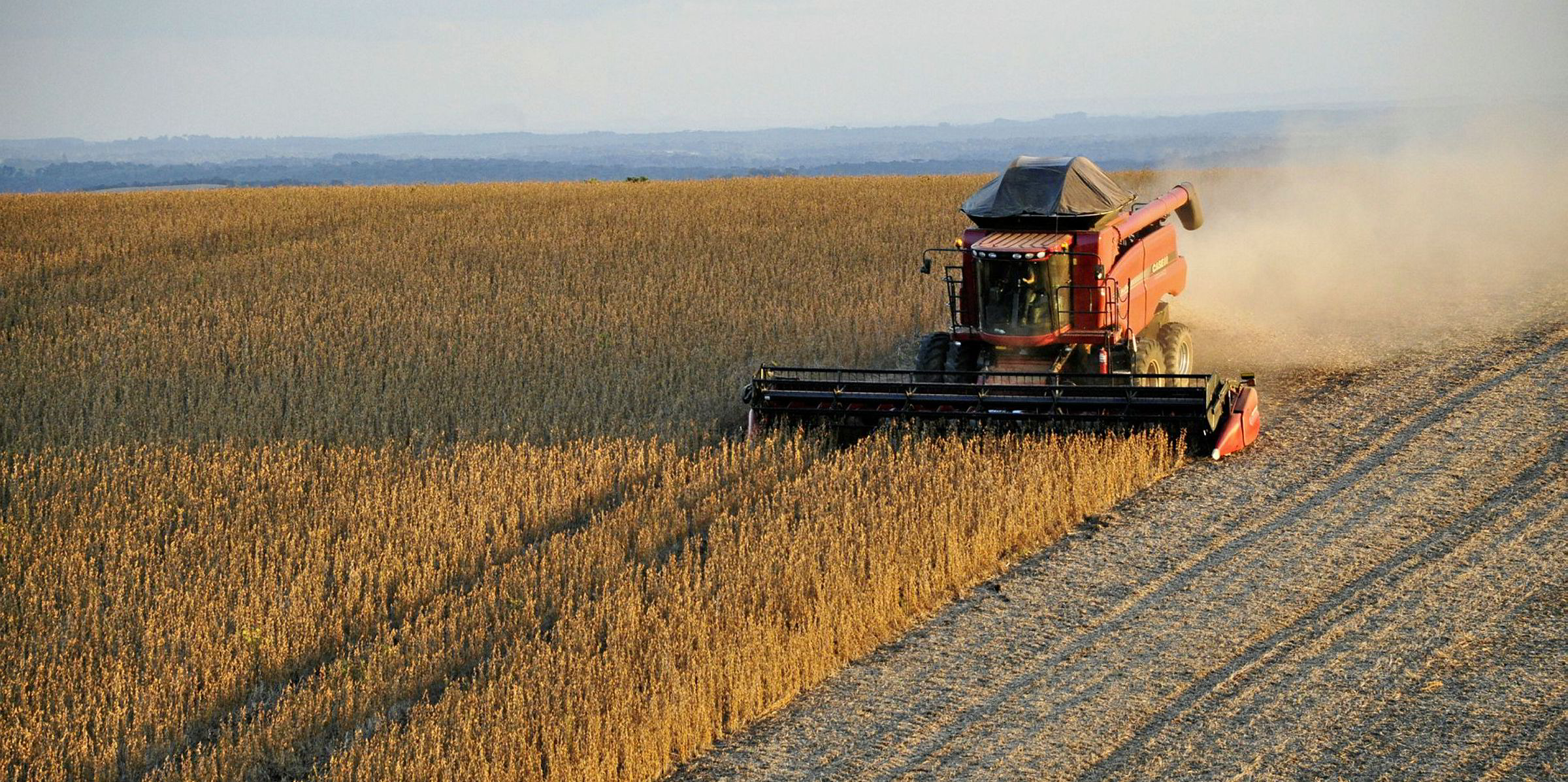 Brazil soybean exports hit record amid harvest rush TradeWinds