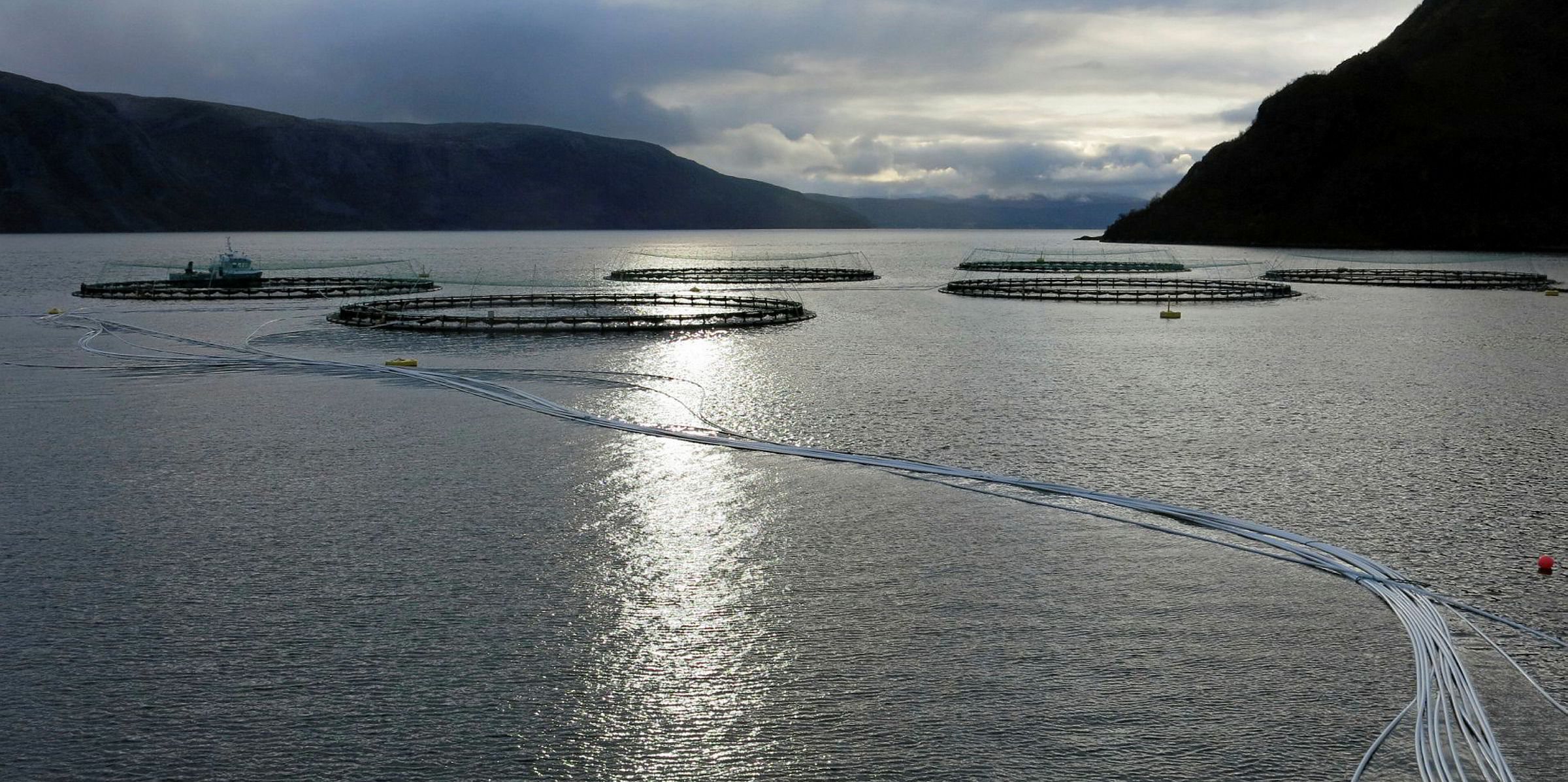Norway proposes 40 tax on aquaculture operations Intrafish